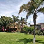 Suites en Cholula