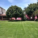 Suites en Cholula