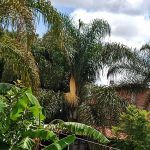 Suites en Cholula