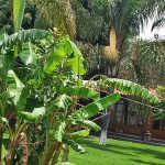 Suites en Cholula