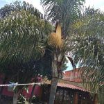 Suites en Cholula